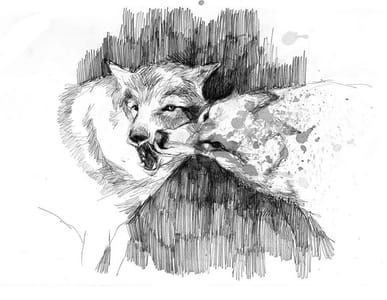 Artwork Title: Untitled