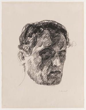 Artwork Title: Self Portrait in Shadow