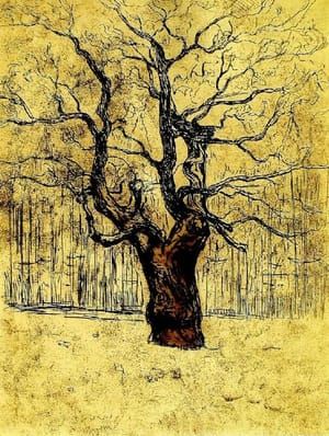 Artwork Title: Eiken (The Oak)