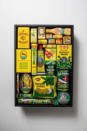 Artwork Title: Survival Kit