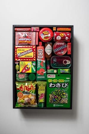 Artwork Title: Survival Kit