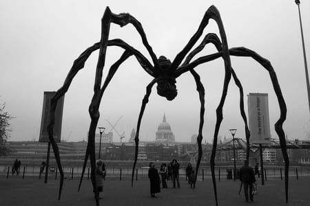 Artwork Title: Maman