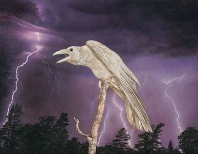 Artwork Title: Frightened Crow