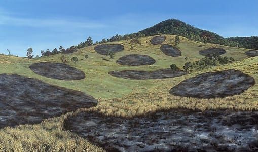 Artwork Title: Spot Fires