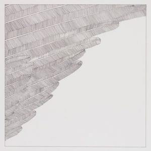Artwork Title: Framed Section Of An Angel's Wing