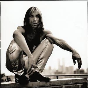 Artwork Title: Iggy Pop