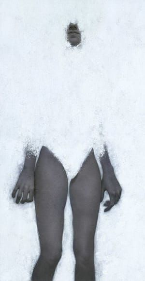 Artwork Title: Whiteout
