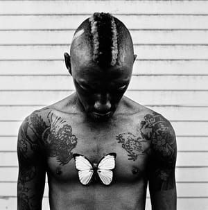 Artwork Title: Tricky