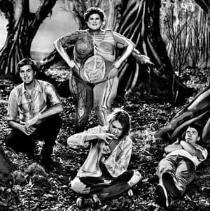 Artwork Title: Nirvana in Heart-Shaped Box video, directed by Anton Corbijn