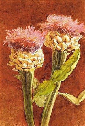 Artwork Title: 1870-72c Thistle