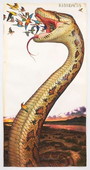 Artwork Title: Rhyndacus