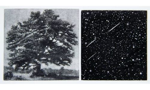 Artwork Title: Untitled