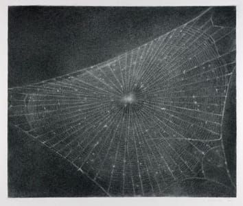 Artwork Title: Web #1