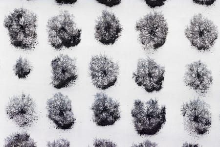 Artwork Title: Apple Trees After Spring Snowstorm