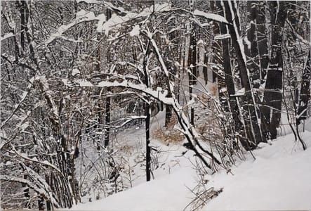 Artwork Title: Winter