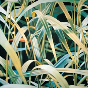 Artwork Title: Graeser Ii