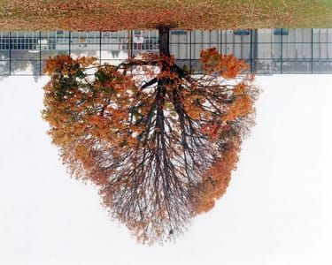 Artwork Title: Untitled