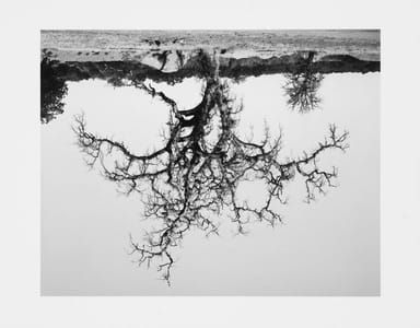 Artwork Title: Untitled