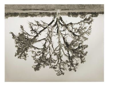 Artwork Title: Untitled