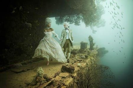 Artwork Title: Untitled