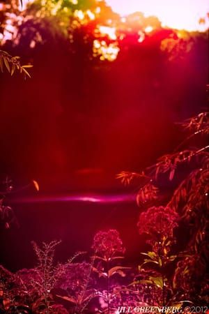 Artwork Title: Untitled