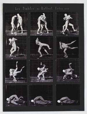 Artwork Title: The Devils Fighting