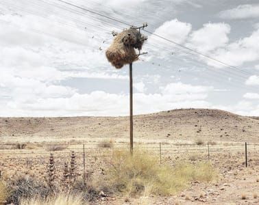 Artwork Title: Assimilation 05