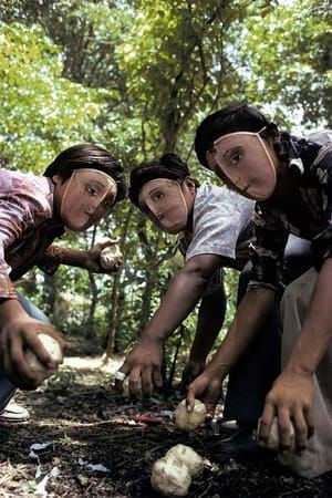 Artwork Title: ouths practice throwing contact bombs in forest surrounding Monimbo