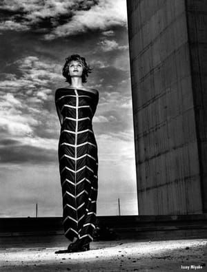 Artwork Title: Helena Christensen 1994