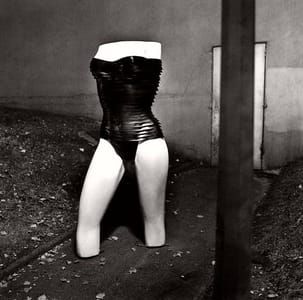 Artwork Title: Untitled