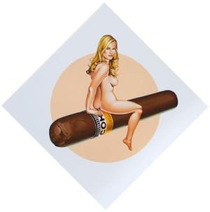 Artwork Title: Have A Havana