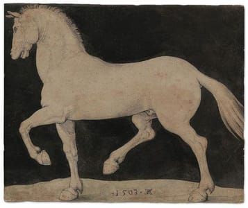 Artwork Title: Trotting Stallion
