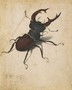 Artwork Title: Hirschkäfer