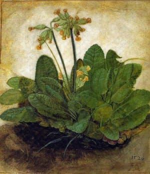 Artwork Title: Tuft of Cowslips