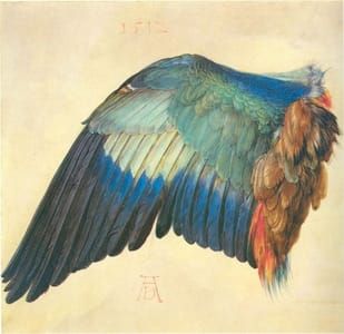 Artwork Title: Wing of a European Roller