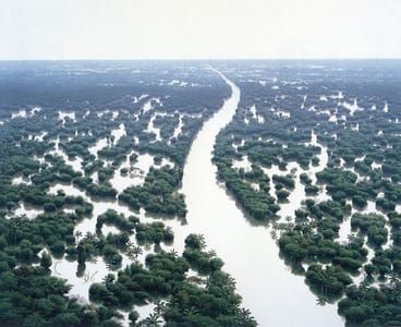 Artwork Title: Inundacion Del Río De Aguas Blancas