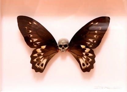 Artwork Title: Flutterdie