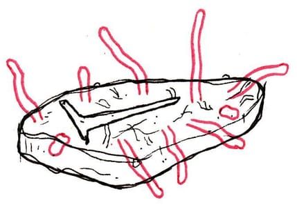 Artwork Title: Worm Steak