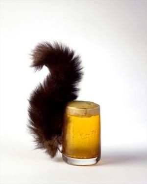 Artwork Title: Squirrel