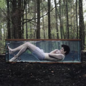 Artwork Title: Untitled