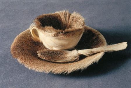 Artwork Title: Pelztasse