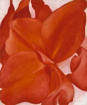 Artwork Title: Red Canna