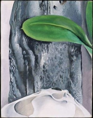 Artwork Title: Shell and Old Shingle No. I