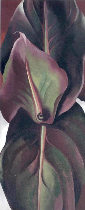 Artwork Title: Canna Leaves