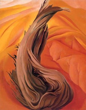 Artwork Title: Stump In Red Hills