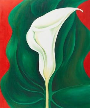 Artwork Title: Single Calla Lily (Red)
