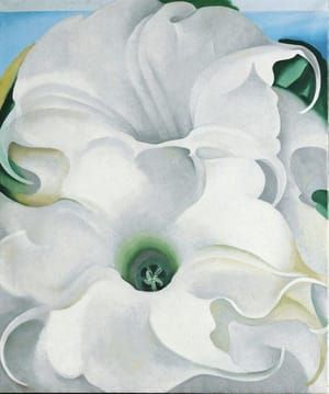 Artwork Title: Bella Donna