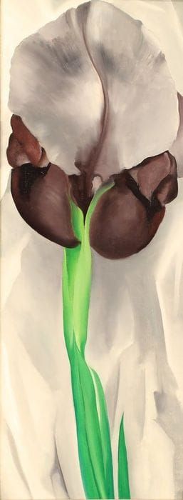 Artwork Title: Dark Iris No 1