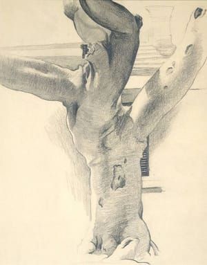Artwork Title: Banyan Tree