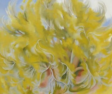 Artwork Title: Cottonwood Tree in Spring